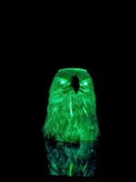 Eagle Hookah with Rgb Light - Image 4