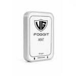 VG Foggit Mint Hookah Flavor 50g