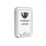 VG Foggit Wild Rose Hookah Flavor 50g